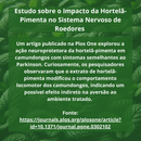 Repelente Natural anti-Ratos Hortelã Pimenta - 01 Pote com 06 esferas