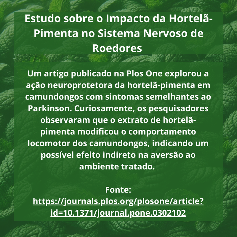 Repelente Natural anti-Ratos Hortelã Pimenta - 01 Pote com 06 esferas
