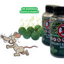 Repelente Natural anti-Ratos Hortelã Pimenta - 01 Pote com 06 esferas