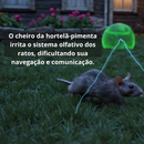 Repelente Natural anti-Ratos Hortelã Pimenta - 01 Pote com 06 esferas