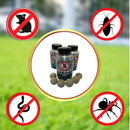 Repelente Natural anti-Ratos Hortelã Pimenta - 01 Pote com 06 esferas