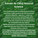 Repelente Natural anti-Ratos Hortelã Pimenta - 01 Pote com 06 esferas